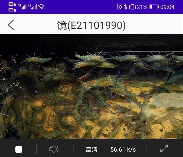 水产监测